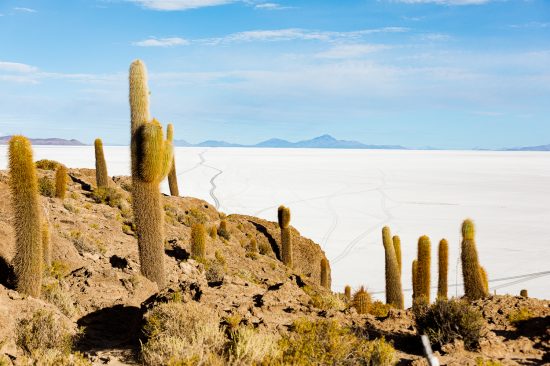 25-10-12 Atacama-987